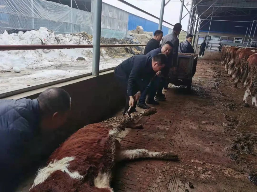 9001cc金沙以诚为本(中国)有限公司官网