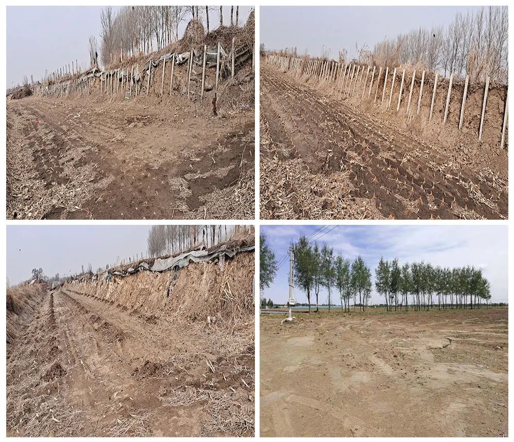 9001cc金沙以诚为本(中国)有限公司官网