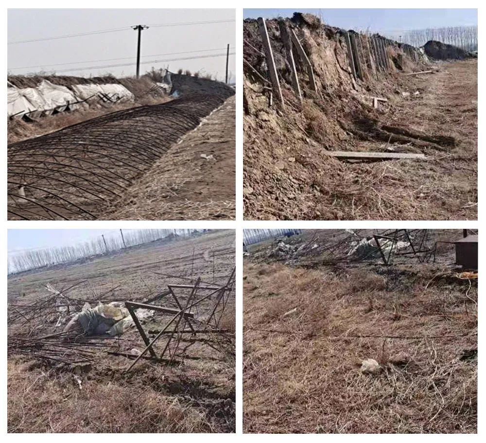 9001cc金沙以诚为本(中国)有限公司官网