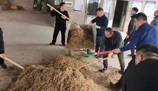 9001cc金沙以诚为本(中国)有限公司官网