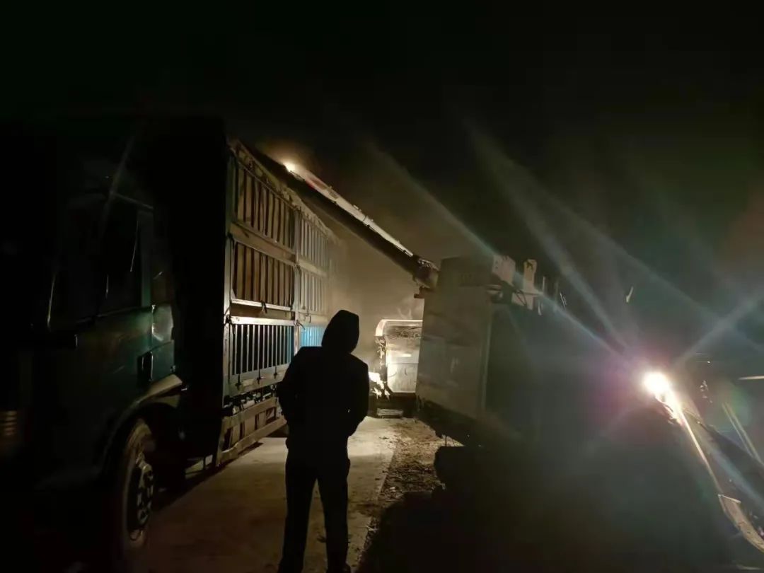 9001cc金沙以诚为本(中国)有限公司官网