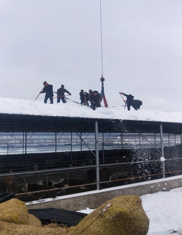 9001cc金沙以诚为本(中国)有限公司官网