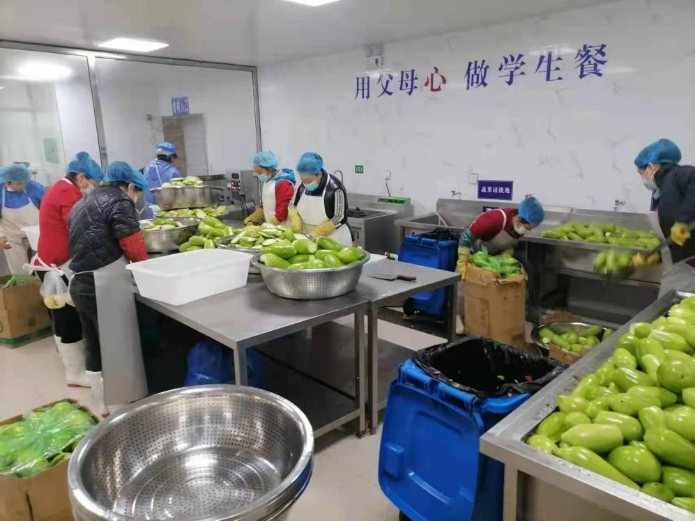 9001cc金沙以诚为本(中国)有限公司官网