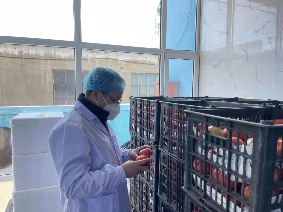 9001cc金沙以诚为本(中国)有限公司官网