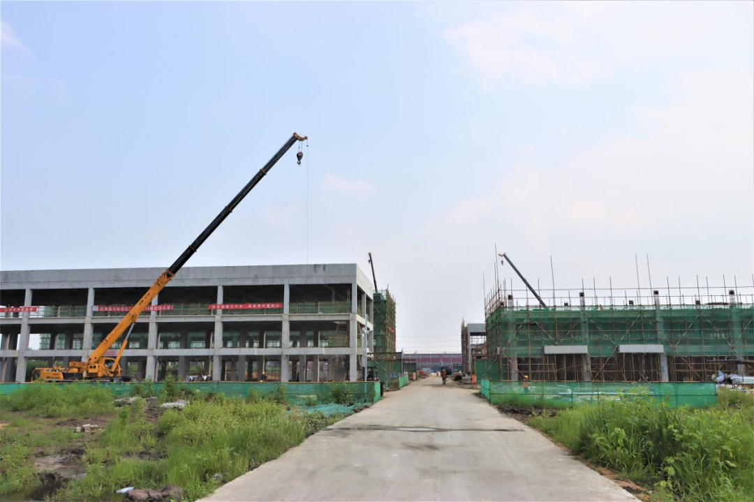 9001cc金沙以诚为本(中国)有限公司官网