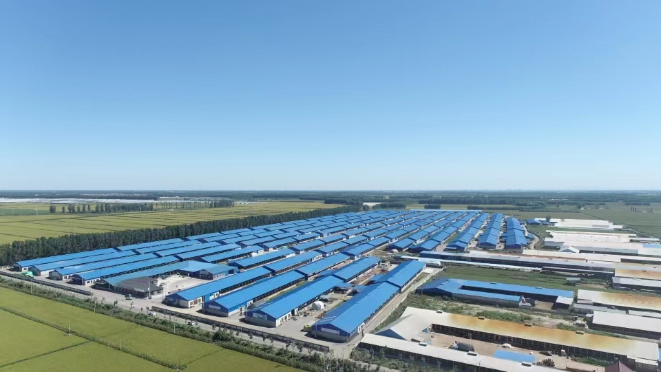 9001cc金沙以诚为本(中国)有限公司官网