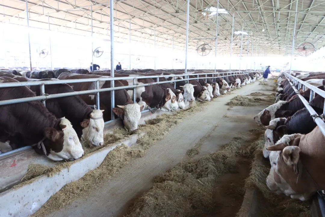 9001cc金沙以诚为本(中国)有限公司官网