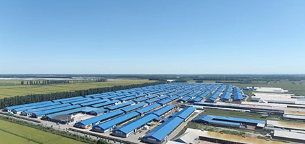 9001cc金沙以诚为本(中国)有限公司官网