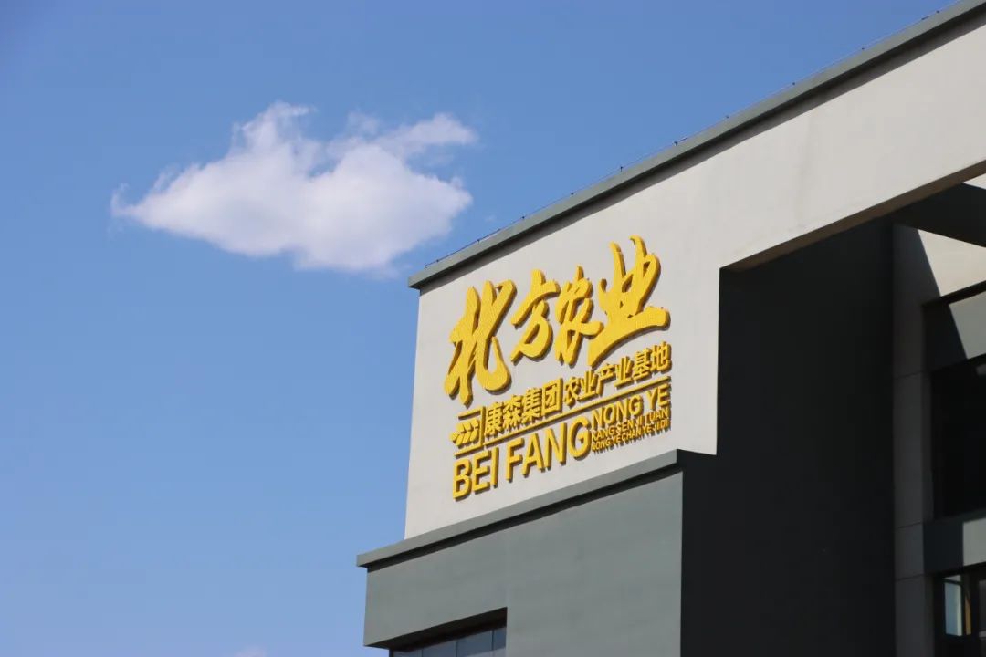 9001cc金沙以诚为本(中国)有限公司官网