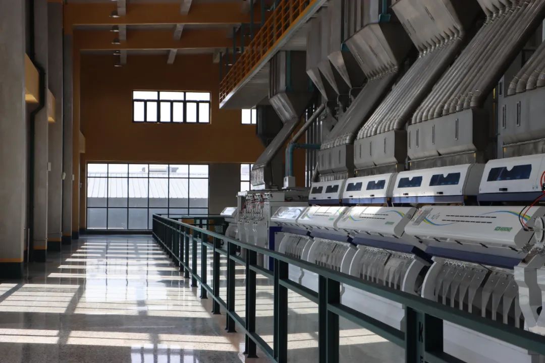 9001cc金沙以诚为本(中国)有限公司官网