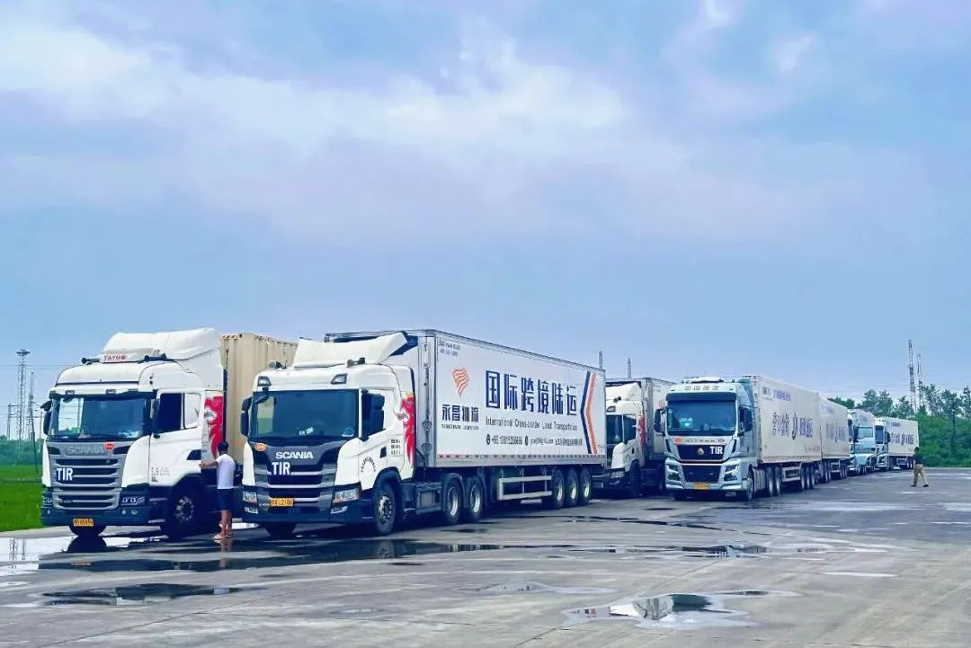 9001cc金沙以诚为本(中国)有限公司官网